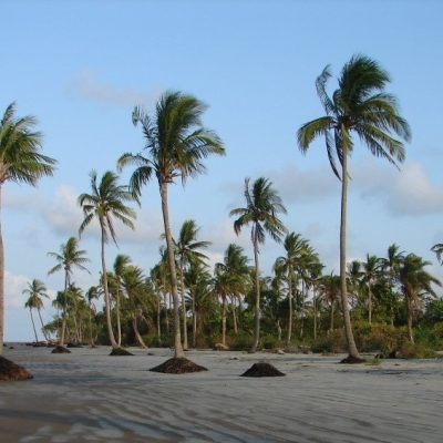 kuakata-sea-beach