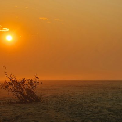 rashedul-islam-hridoy-UtLINtlGEbw-unsplash